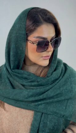 عینک برند باربری (2510)  BURBERRY