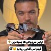 عینک برند ام دی ای کد(9310) MDA